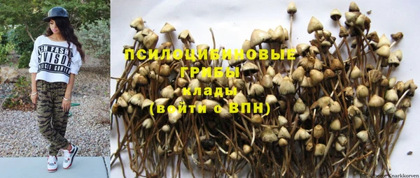 синтетический гашиш Карпинск