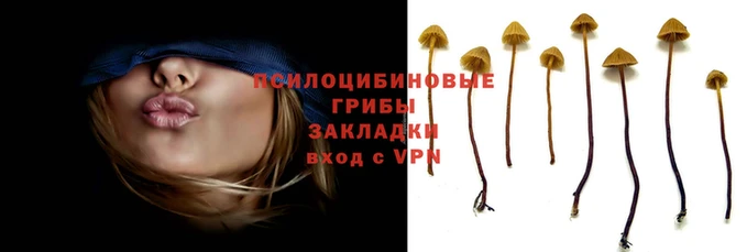 мефедрон мука Касимов