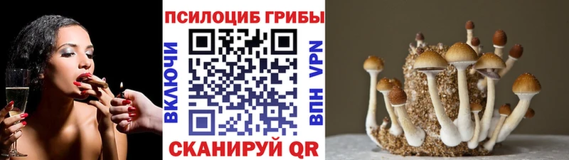 Псилоцибиновые грибы прущие грибы  Купить где  Осташков 